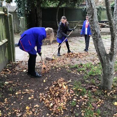 Gardening and raking leaves for courageous advocacy
