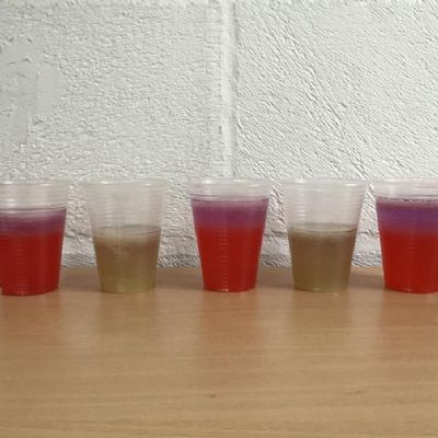 Extracting DNA from strawberries and kiwis