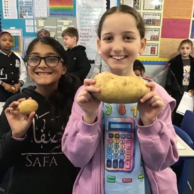 We had great fun on Number day- we calculated the average weight of our potatoes and solved penguin problems after reading ‘365 Penguins’.