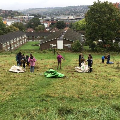Raking on Tom Burt's Hill