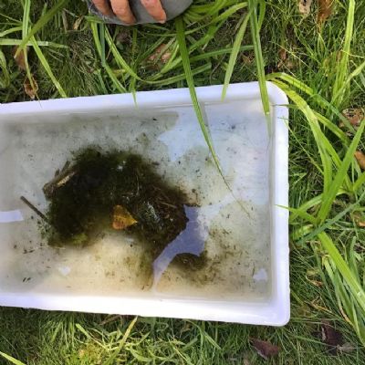 Funges Meadows Nature Reserve