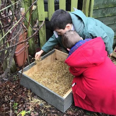 We got a hedgehog home! We filled it with straw so that it will be warm, put hedgehog food out and left a stick in front to see if a hedgehog visits. We will keep checking!