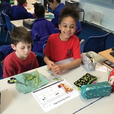 Science - dissecting tulips