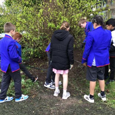 Year 6 continued with their courageous advocacy project by weeding our school grounds and planting some bulbs. We can't wait to see them grow into flowers!