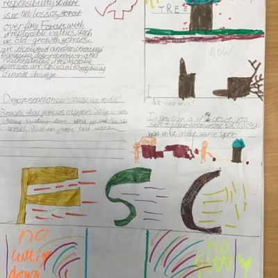 Save The Forest Campaign