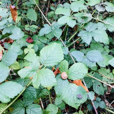 3. Favourite Miniscule Item