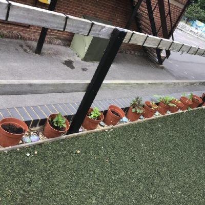 For their final courageous advocacy afternoon, Year 6 continued with weeding and raking up leaves and sticks.