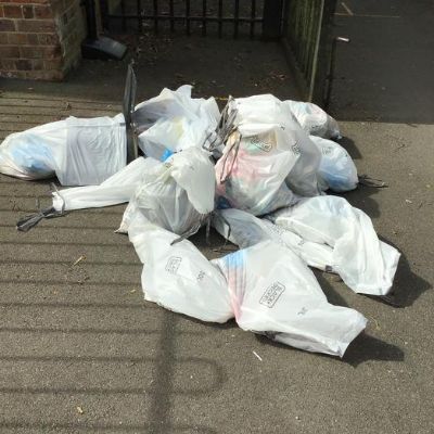 Litter Picking