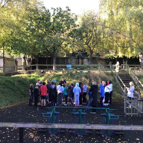 Chiltern Rangers Morning