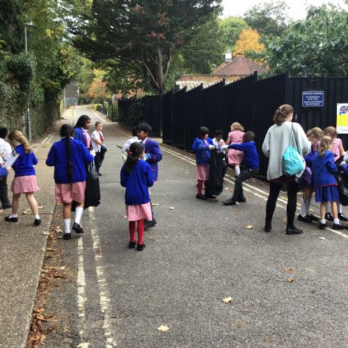 Litter Picking Investigation