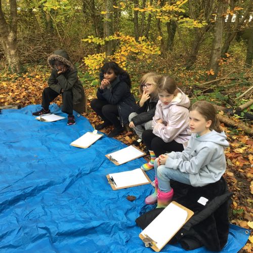 Forest School - Using Quadrants
