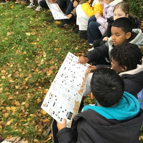 Forest School - Investigating School Habitats