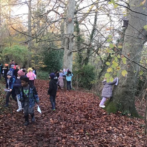 Forest School - Tree rubbings