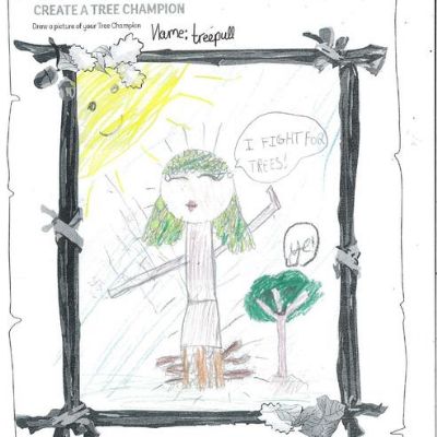 We designed tree champions - here are our favourites! (2 points)