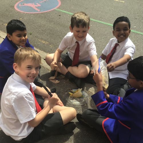Making the Digestive System