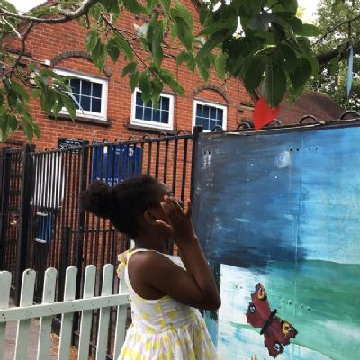 We took some time to appreciate the trees we have in our school grounds.