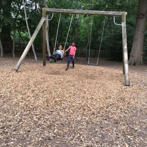 Black Park Trip