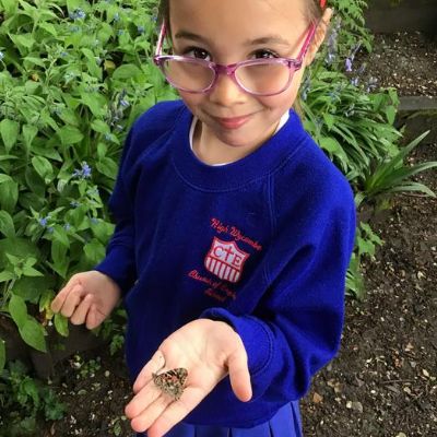 Week 1- Butterfly Release!