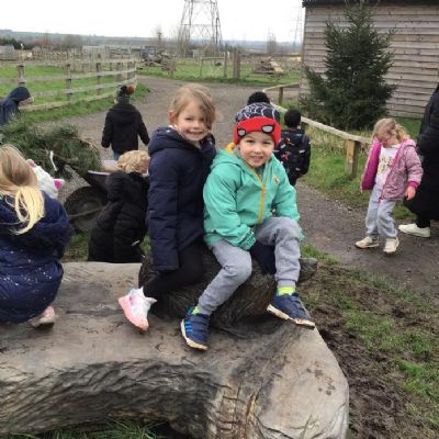 Hogshaw Farm - Reception had a wonderful day! We saw lots of different animals and we loved feeding the goats.