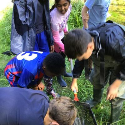 In partnership with Chiltern Rangers and Fresh Water Habitats Trust, Year 6 visited the Funges Meadows Nature Reserve.